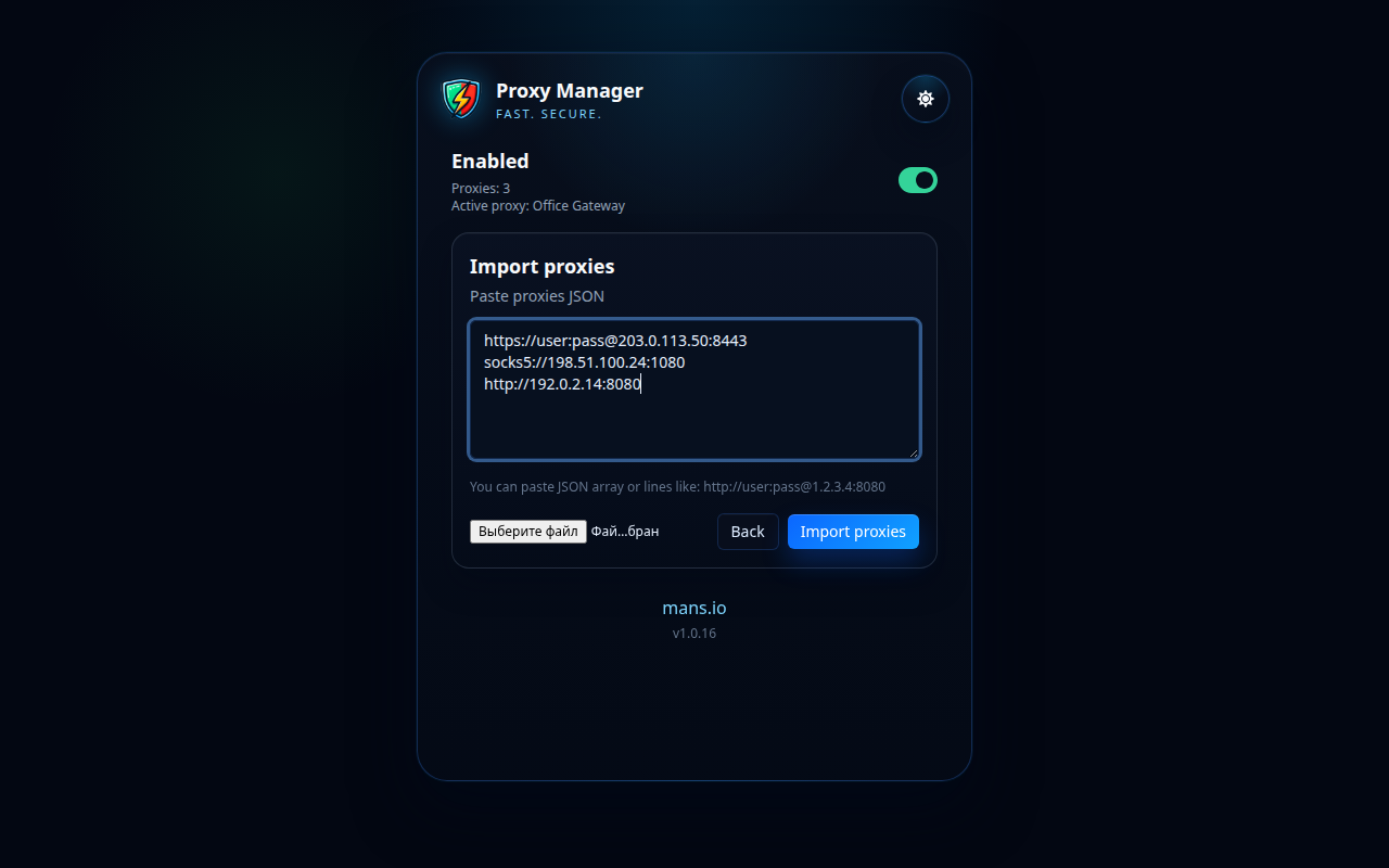 Импорт прокси в Proxy Manager